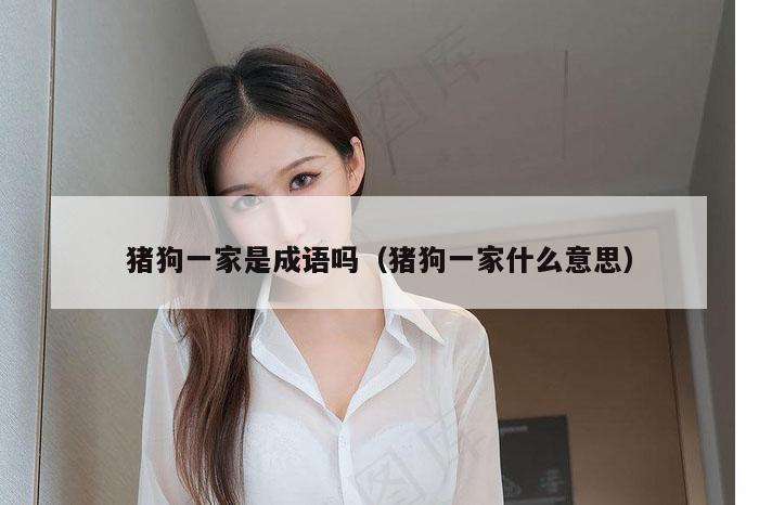 猪狗一家是成语吗（猪狗一家什么意思）